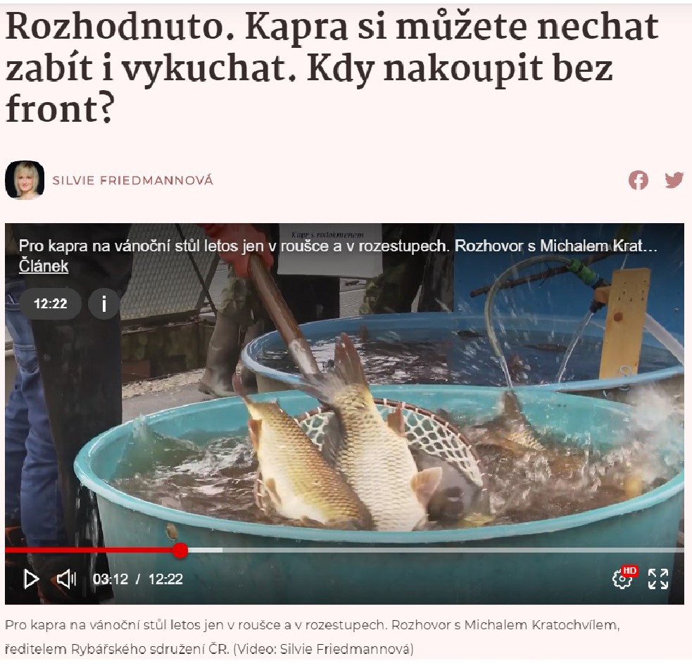 Pro kapra na vánoční stůl letos jen v roušce a rozestupech